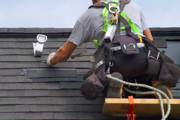 Best Roof Repair Services  in Forest Ranch, CA