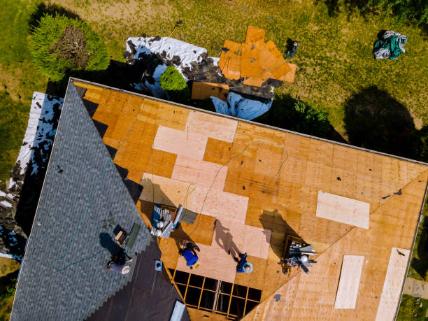 Best Roof Replacement Cost  in Forest Ranch, CA