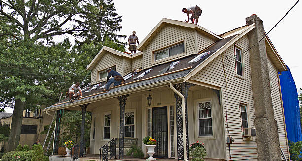 Best Roof Gutter Cleaning  in Forest Ranch, CA